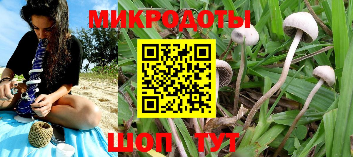 Галлюциногенные грибы MAGIC MUSHROOMS  Вход с VPN  Нягань  Псилоцибиновые грибы Psilocybine cubensis 