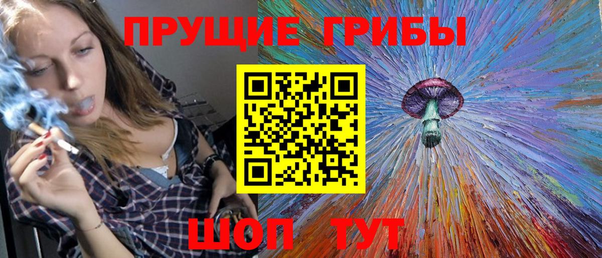 Псилоцибиновые грибы Psilocybe Нягань